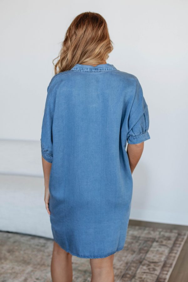 Janet_Denim_Shirt_Dress-5